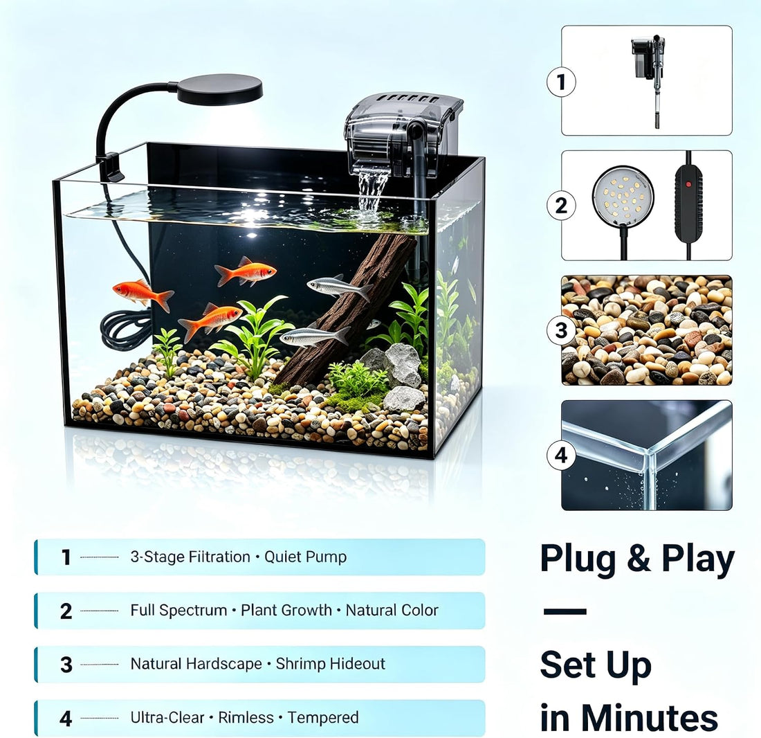 Smart Fish Tank,2.8Gallon Fish Tank,Kit with LED