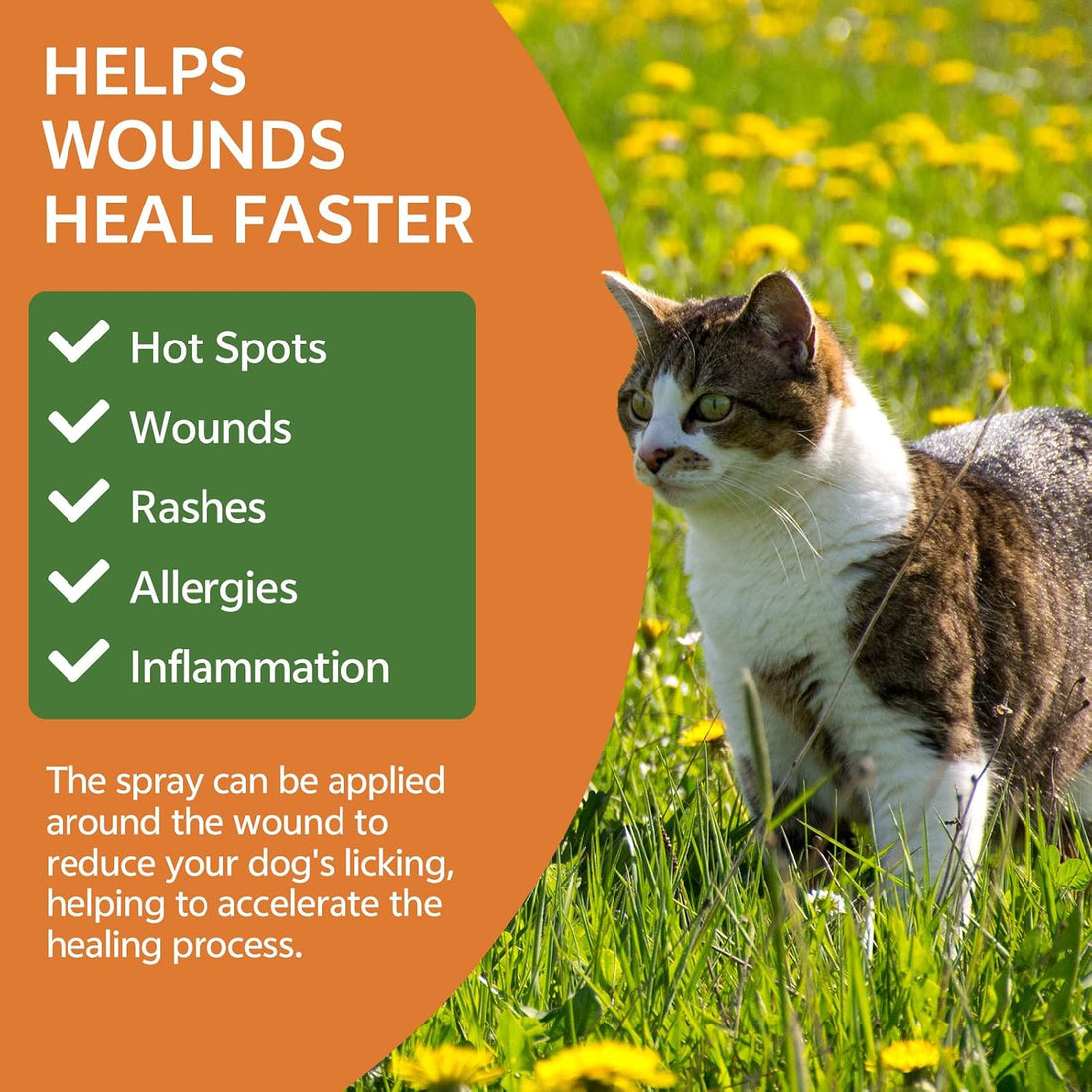 Cat Deterrent Spray, Natural No Scratch Spray for Cats, 6.76 OZ