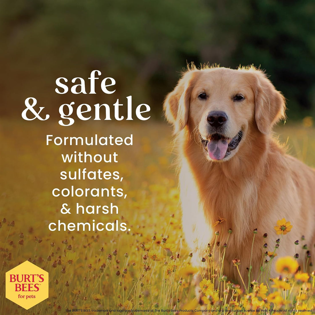 BURT'S BEES FOR PETS Deodorizing Dog Spray, Apple & Rosemary, 10 Fl Oz