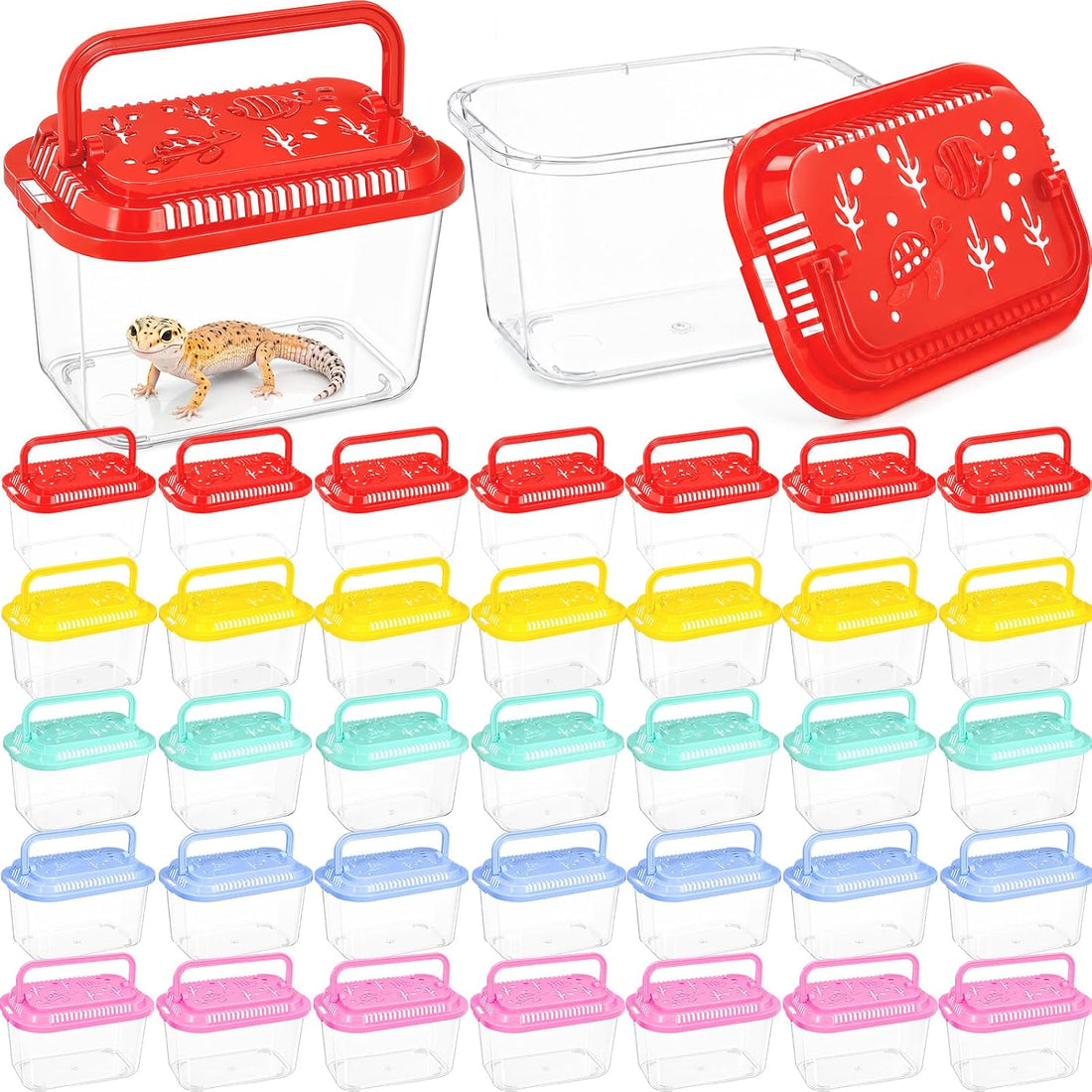 LemonRoad 25 Pcs Plastic Reptile Terrariums,Classic,5.1x3.5x3.5 Inch