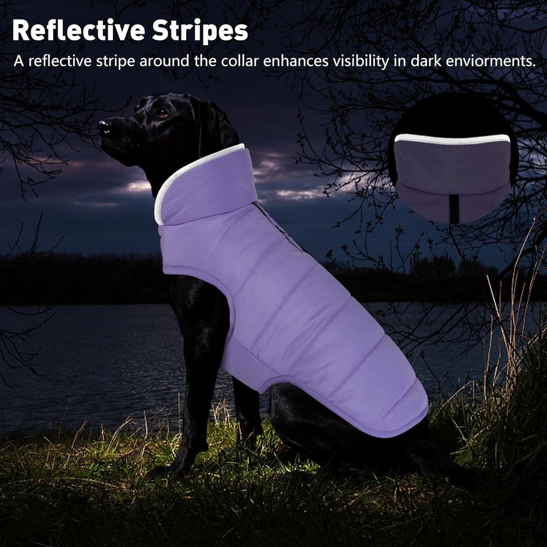 Petglad Waterproof Dog Winter Coat