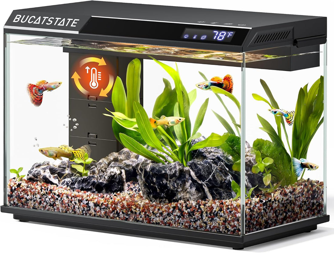 BUCATSTATE 2.6 Gallon Small Fish Tank, 3 Stage Filtration Aquarium