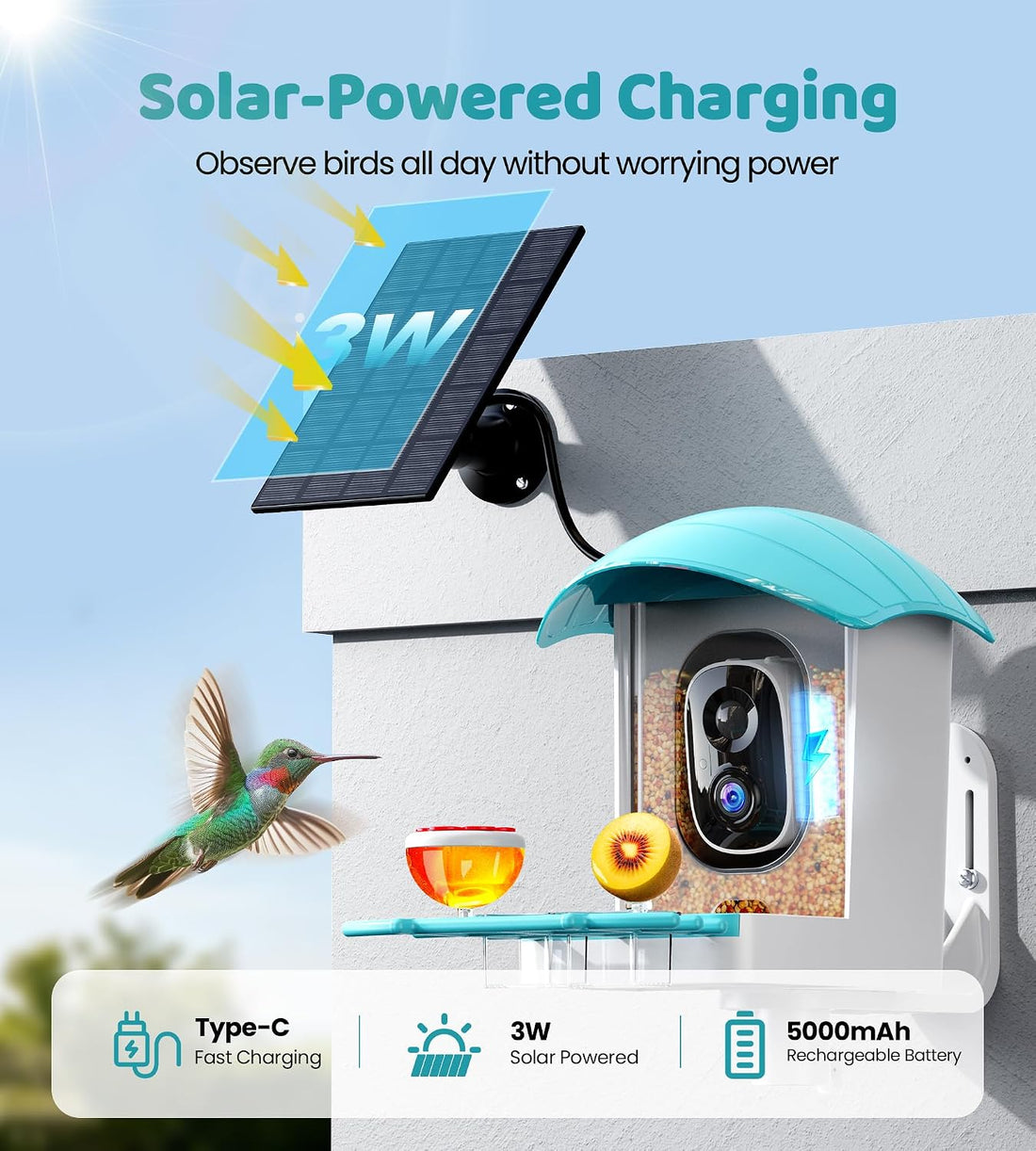 Bird Feeder with Camera Solar Powered