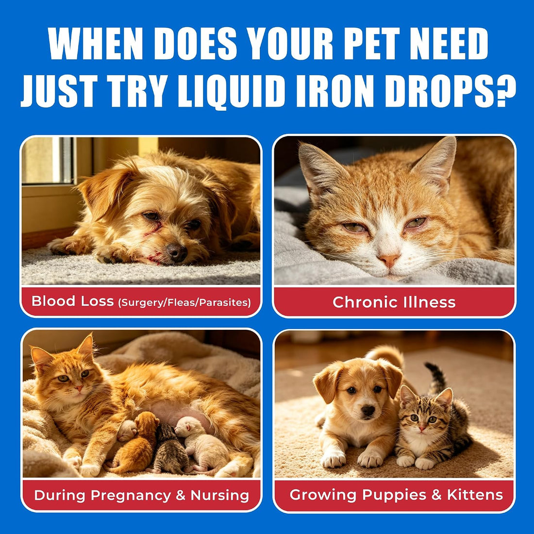 Just Try Iron Liquid Supplement, Iron for Dogs&Cats