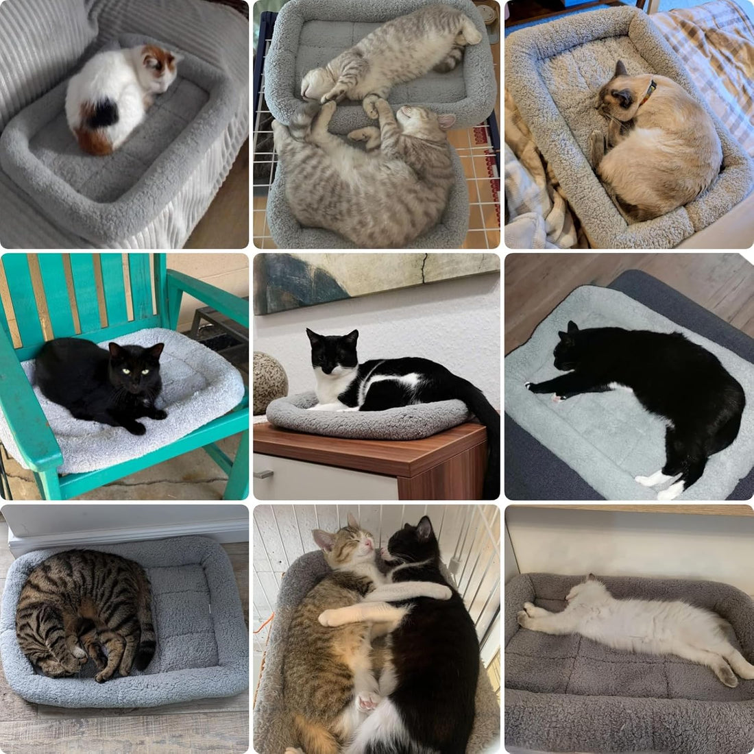 PETLESO Small Cat Bed Mat, 22" x 16" Plush Cushion with Surrounding