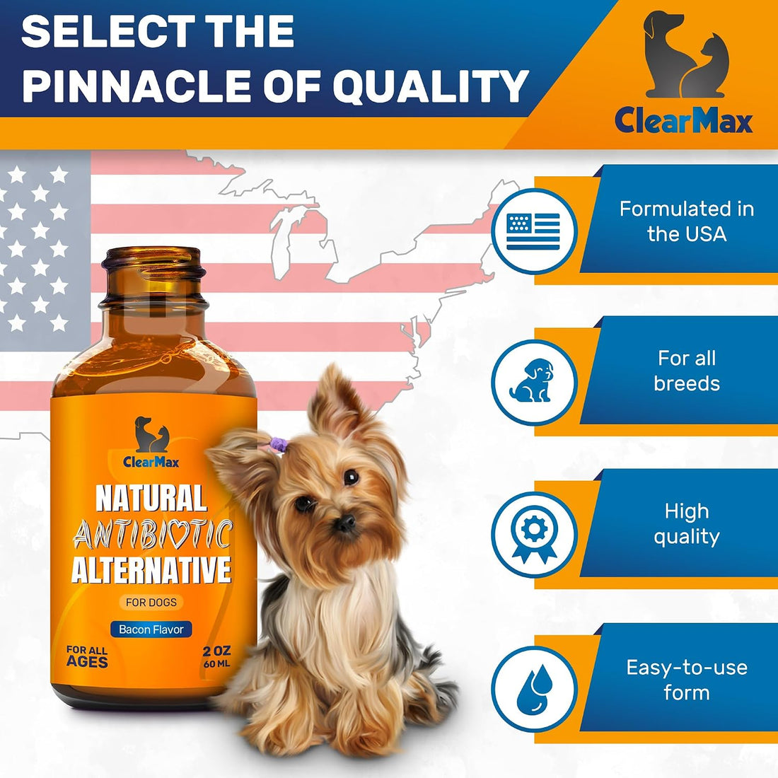 Dog Antibiotics for Infections, Allergies, Coughs