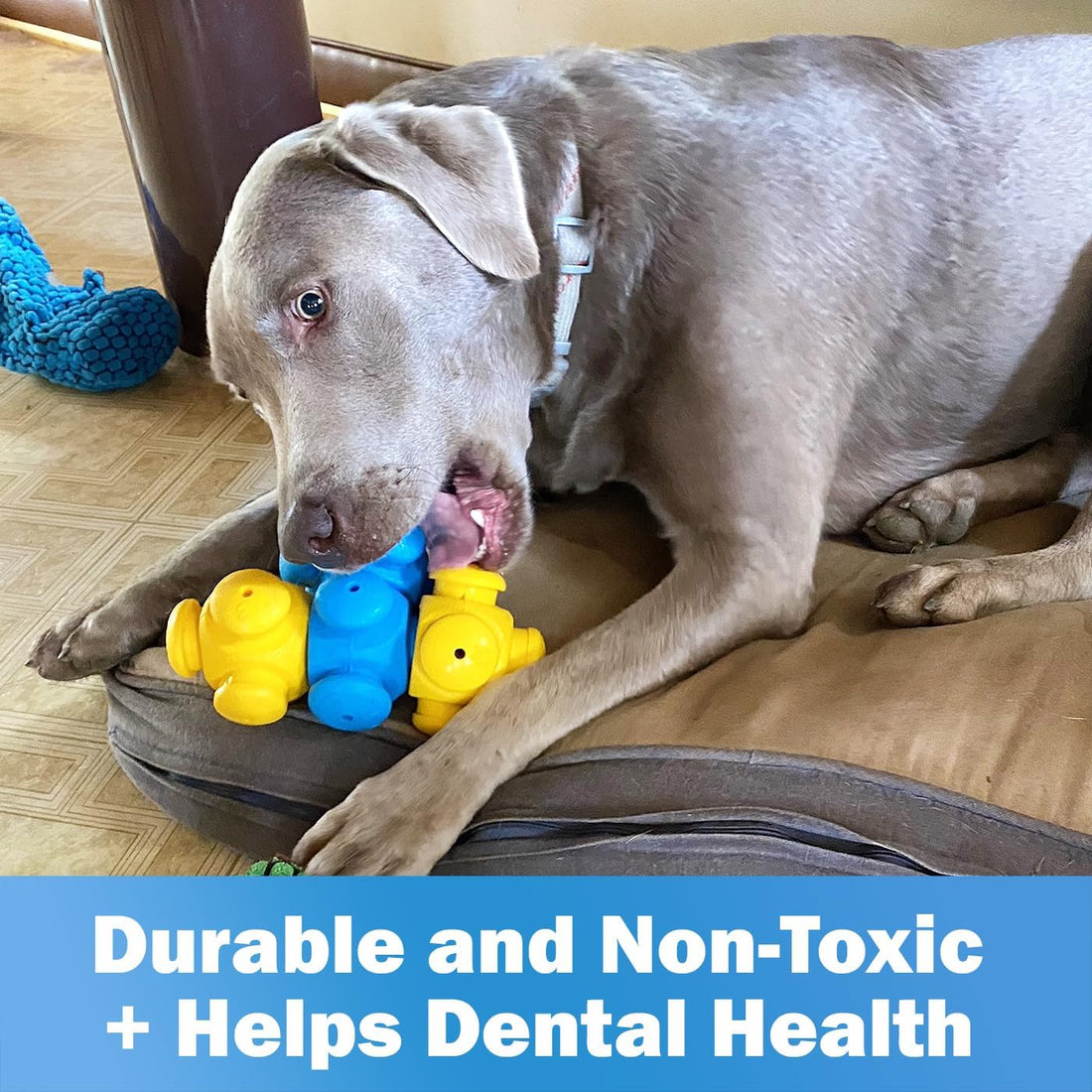 Dog Puzzle Toys for Smart Dogs, Interactive, Boredom Busters