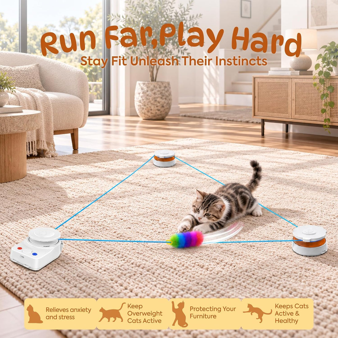 Interactive Cat Toy for Indoor Cat,Automatic Treadmill for Exercise