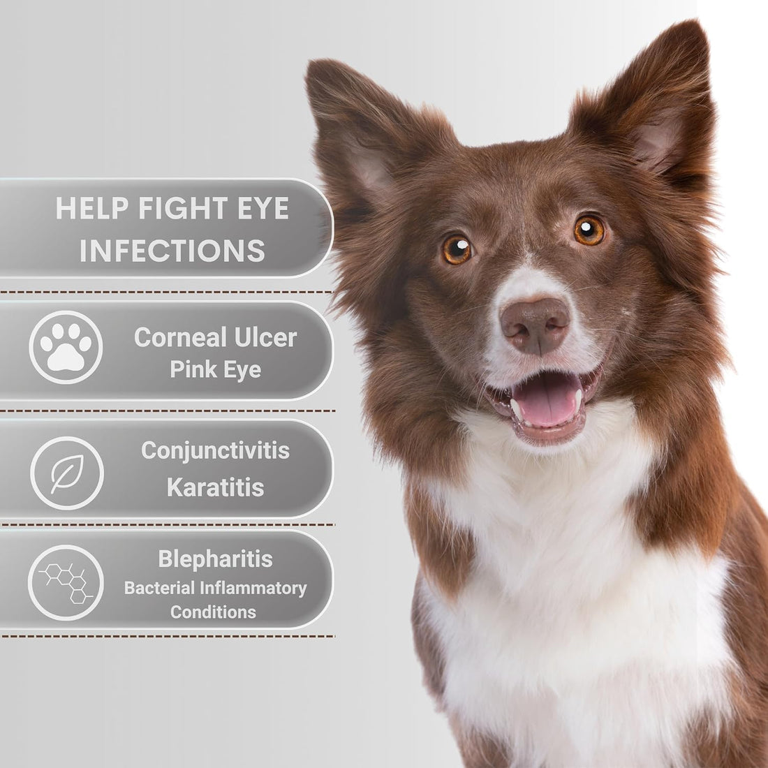 Pet Eye Care Ointment for Dogs, Cats and All Pets 1/8 oz /3.5gr 1 Tube