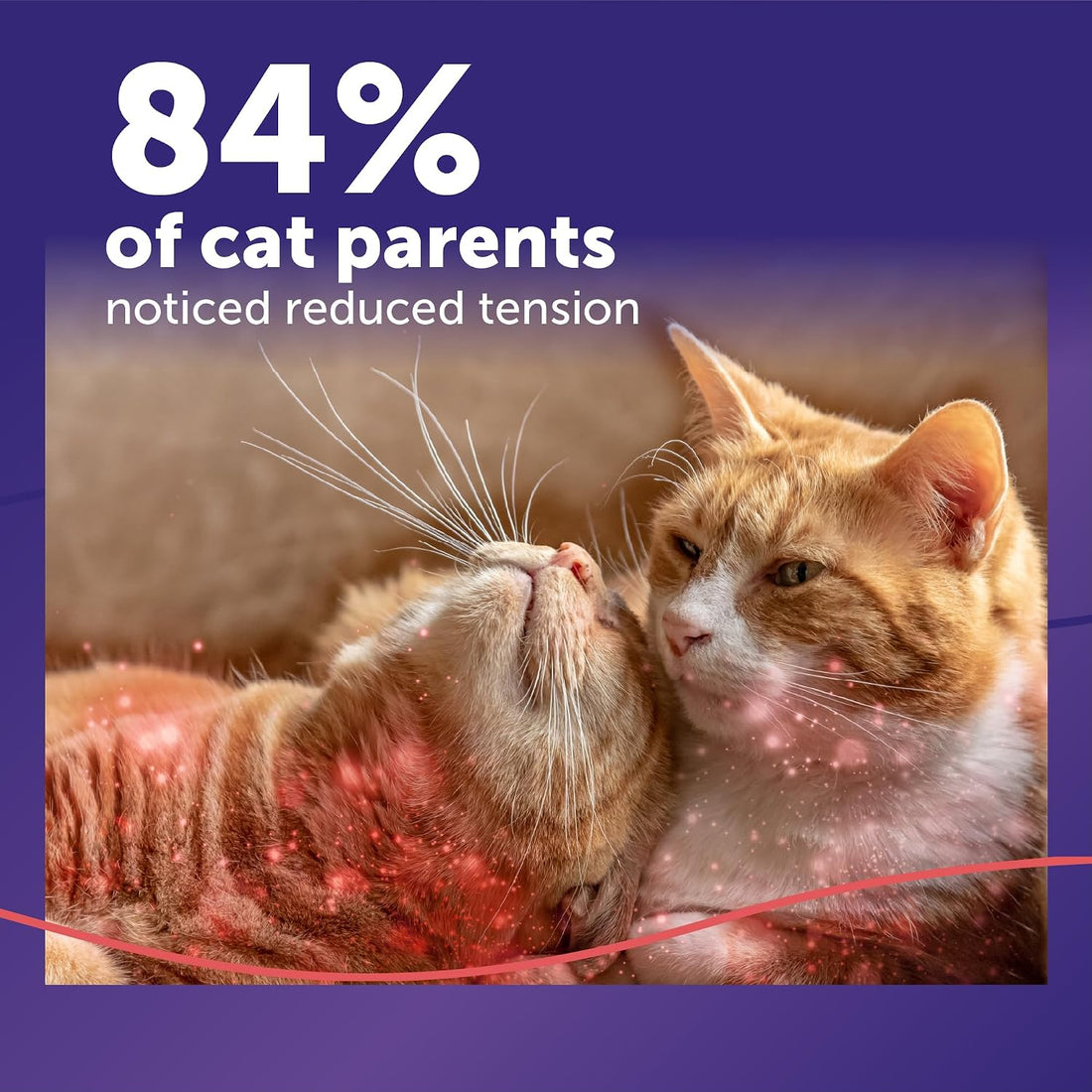 FELIWAY MultiCat Cat Calming Diffuser Kit (2 Pack)