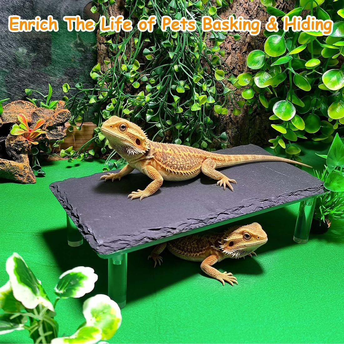 Bearded Dragon Basking Platform,Reptile Hide Cave with Slate Rock,S