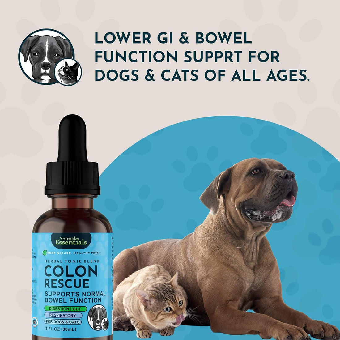 Animal Essentials Colon Rescue Dog Stool Softener - 2 fl Oz