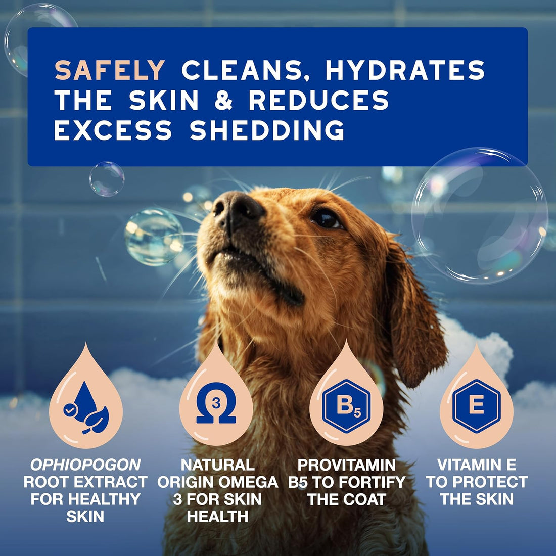 DOUXO SPA Shed Control Dog Shampoo, 16 fl oz