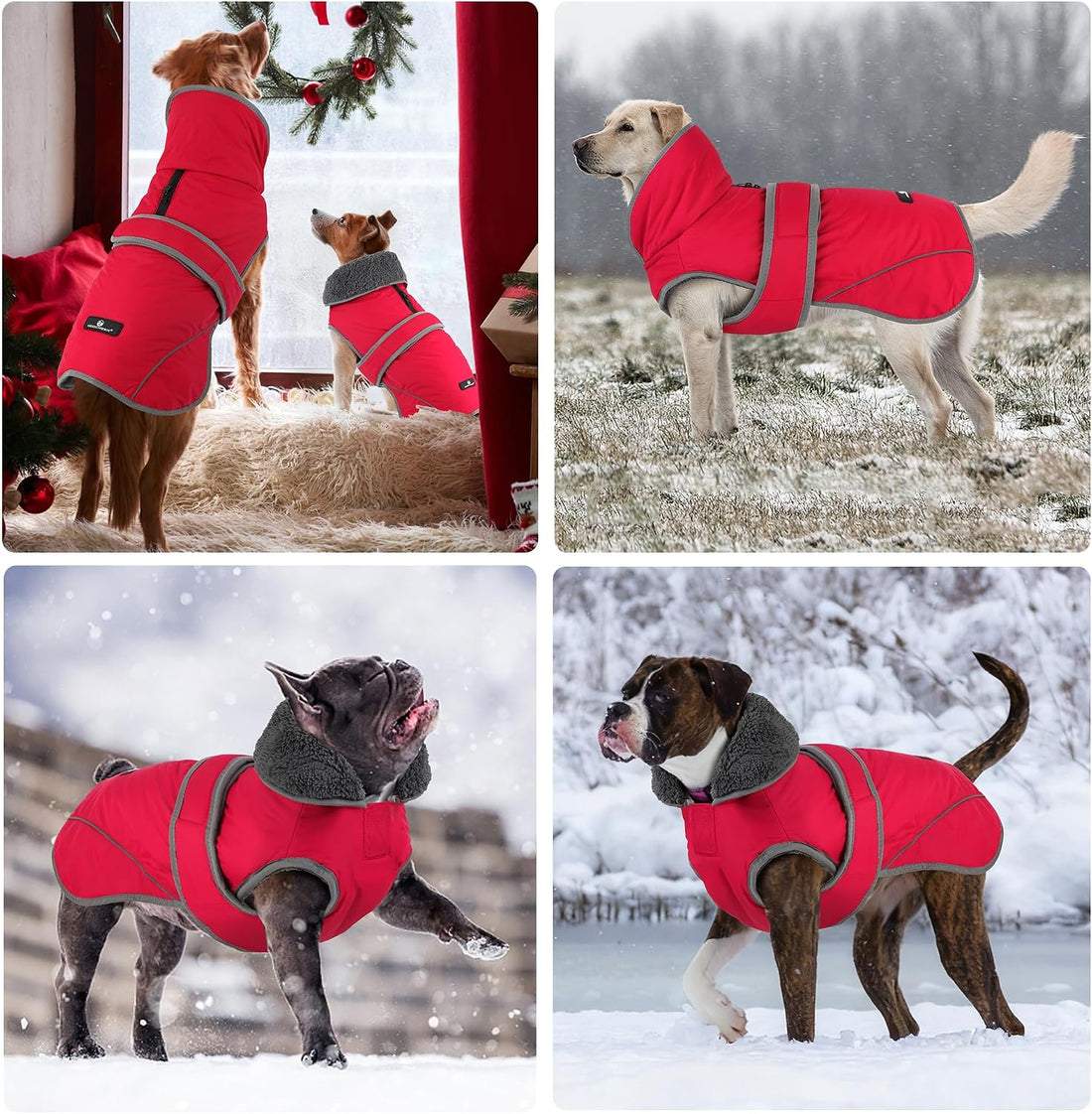 Dogcheer Dog Winter Coat, Waterproof Dog Jacket with Zipper Leash