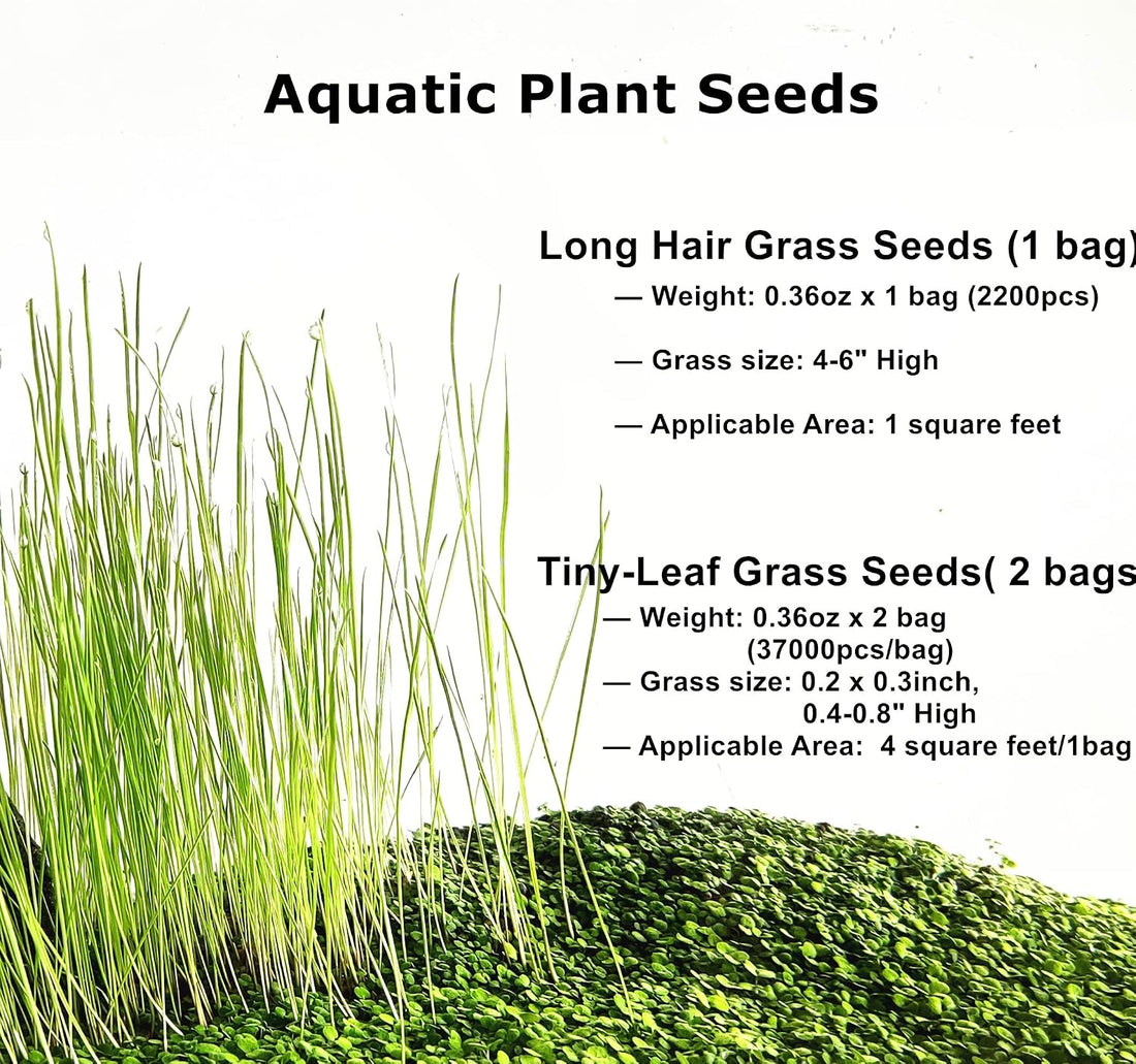 3 Bags Aquarium Plant S.e.e.d set, not aritifical plastic
