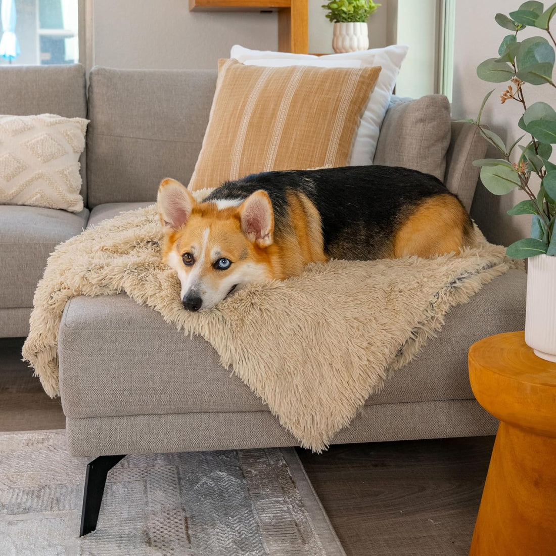 Best Friends by Sheri Calming Shag Dog Blanket