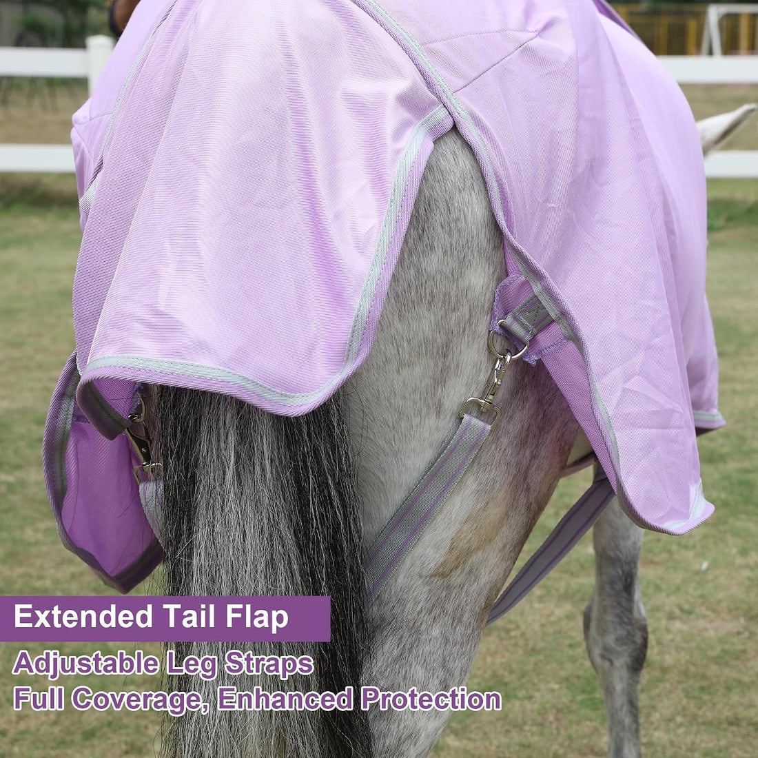 LEAFOREST Miniature Pony Horse Fly Sheet
