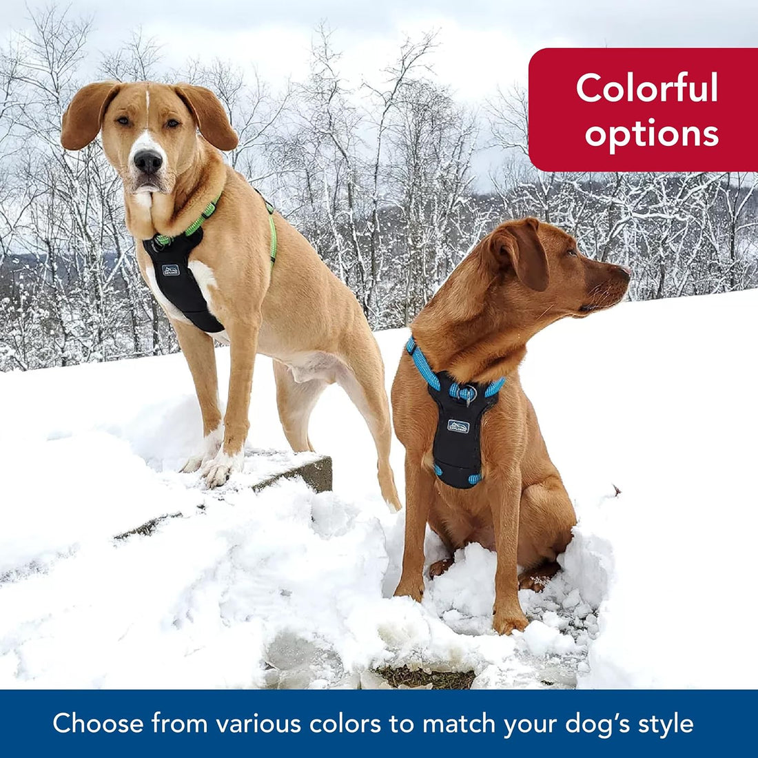 Coastal Pet K9 Explorer Brights Reflective Harness, Mountain
