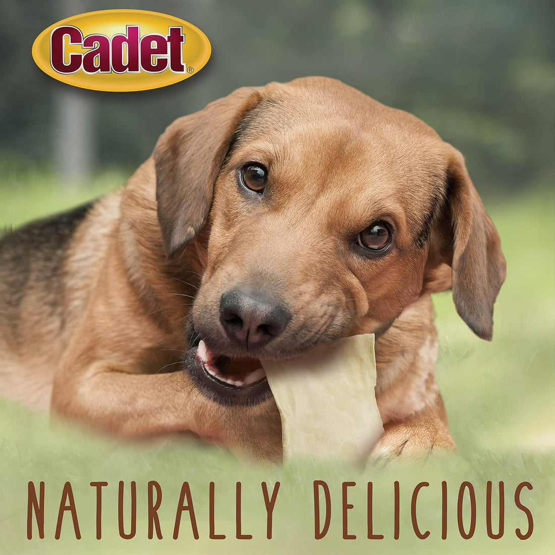 Cadet Premium Grade Beef Hide Chips Dog Chews, 1 lb