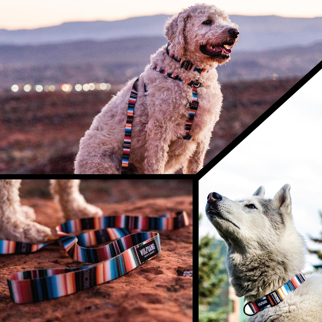 Wolfgang Venture Dog Harness Lostart Print Large