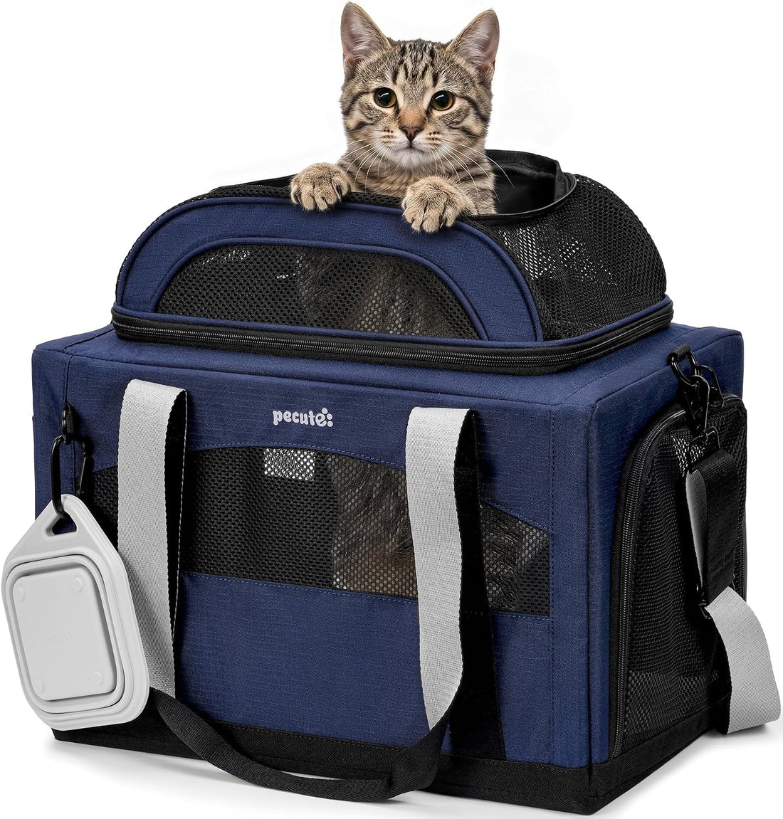 Pecute Cat Carrier, Top Expandable Dog Crate for Travel