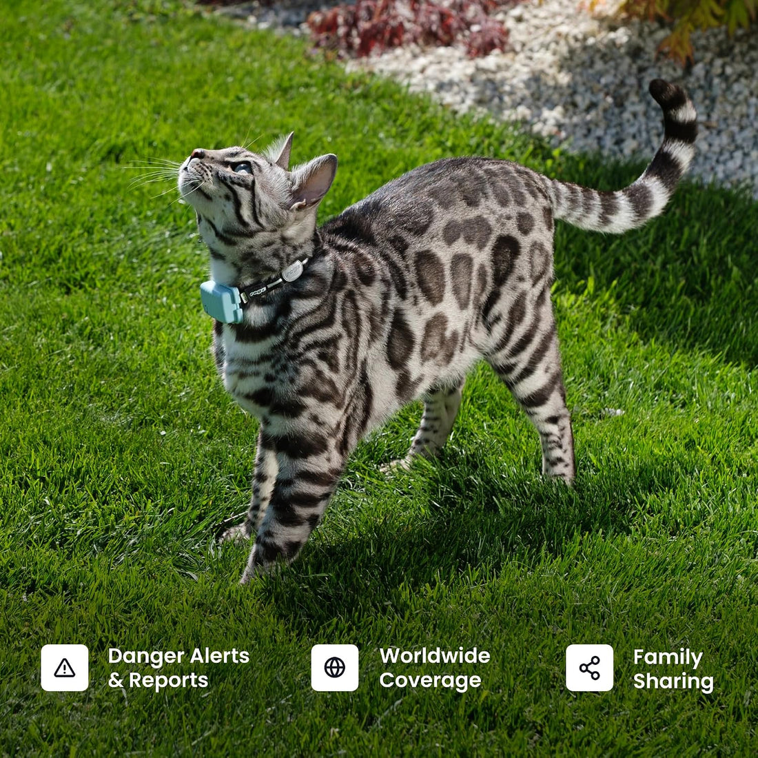 Tractive Smart Cat GPS Tracker