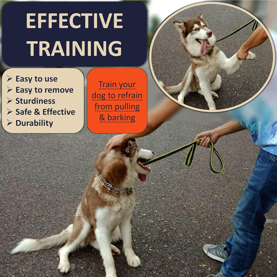DEYACE Quick Release Dog Training Collar Adjustable Stainless Steel