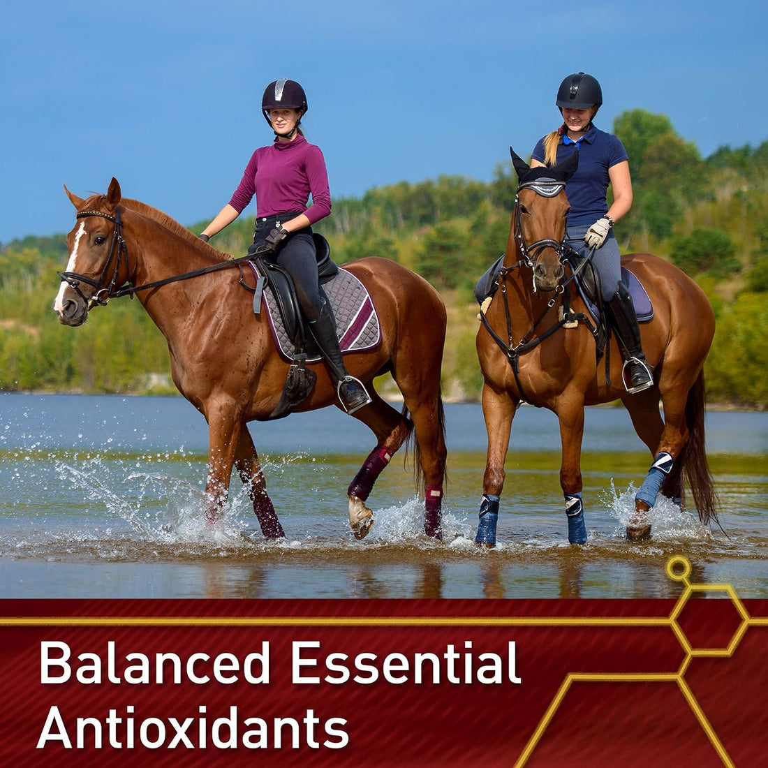 Vita Flex Pro E & Selenium Supplement for Horses, 64-Day Supply