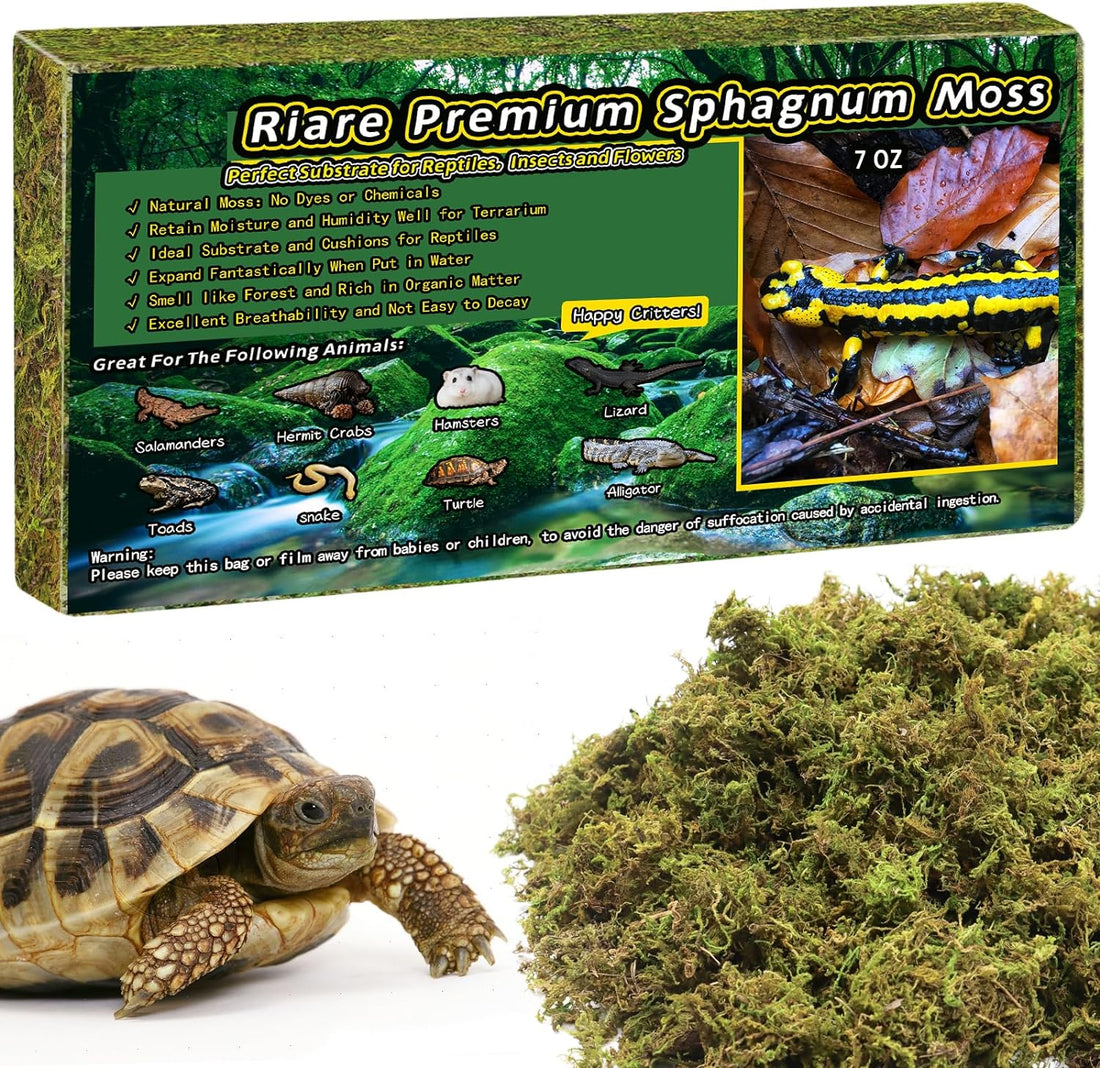 Riare 8 OZ Natural Sphagnum Moss for Reptiles