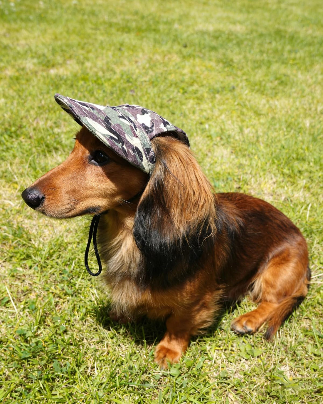 PET SHOW Camouflage Dog Baseball Cap for Small Doggies Cats
