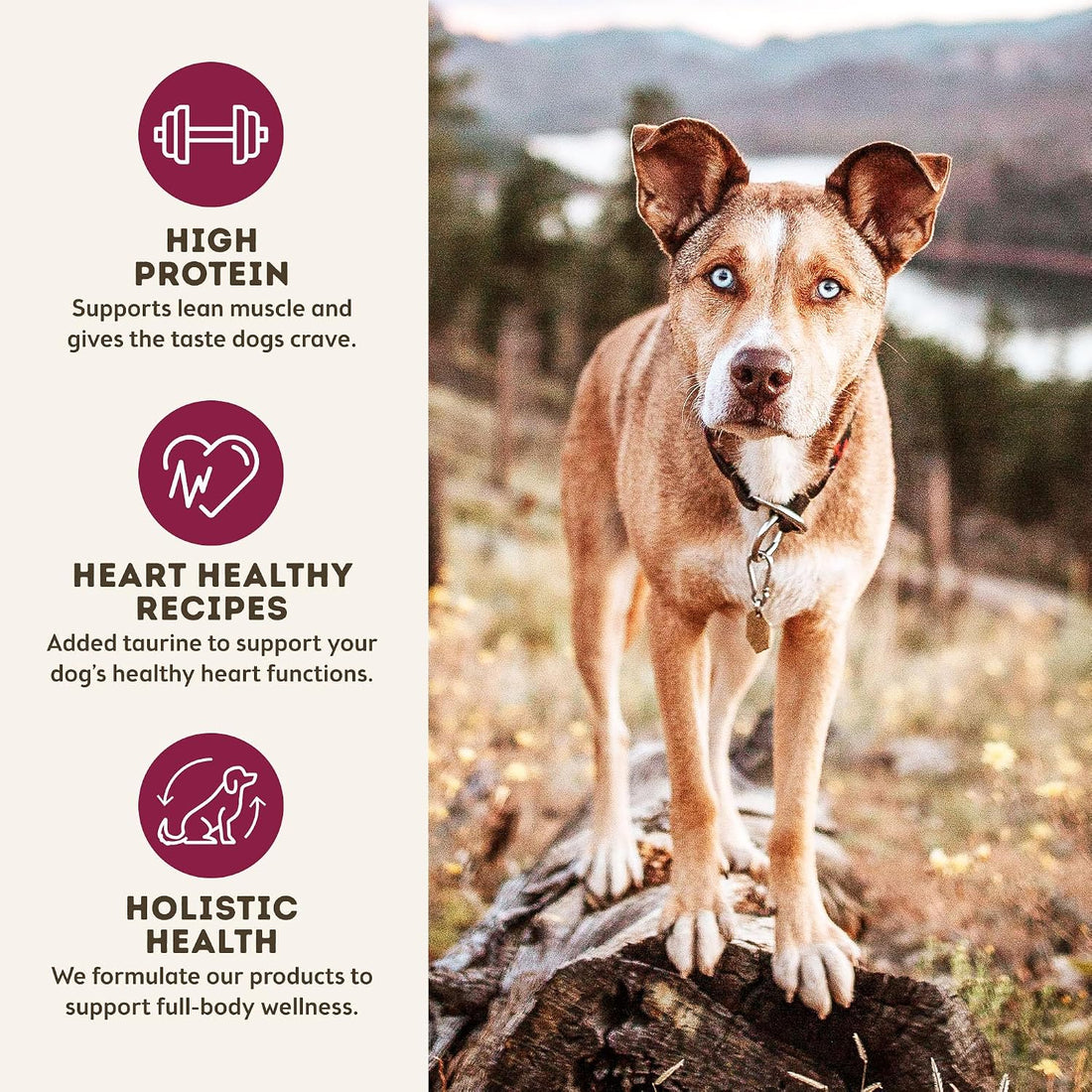 Only Natural Pet MaxMeat Air Dried Chicken Dry Dog Food Grain Free