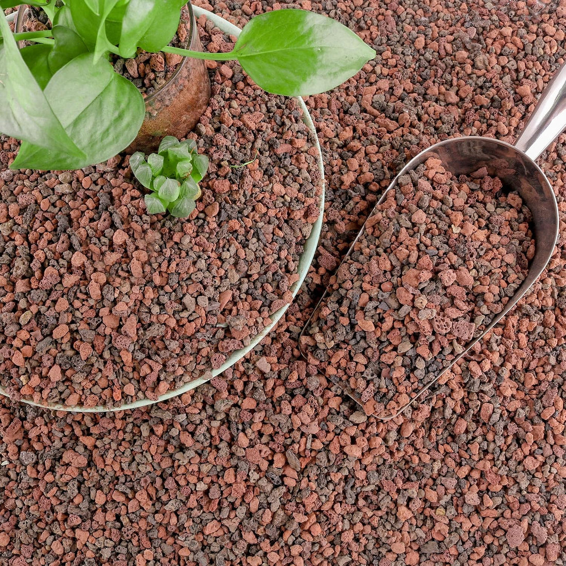 CJGQ 18lb Mix Lava Rocks for Plants