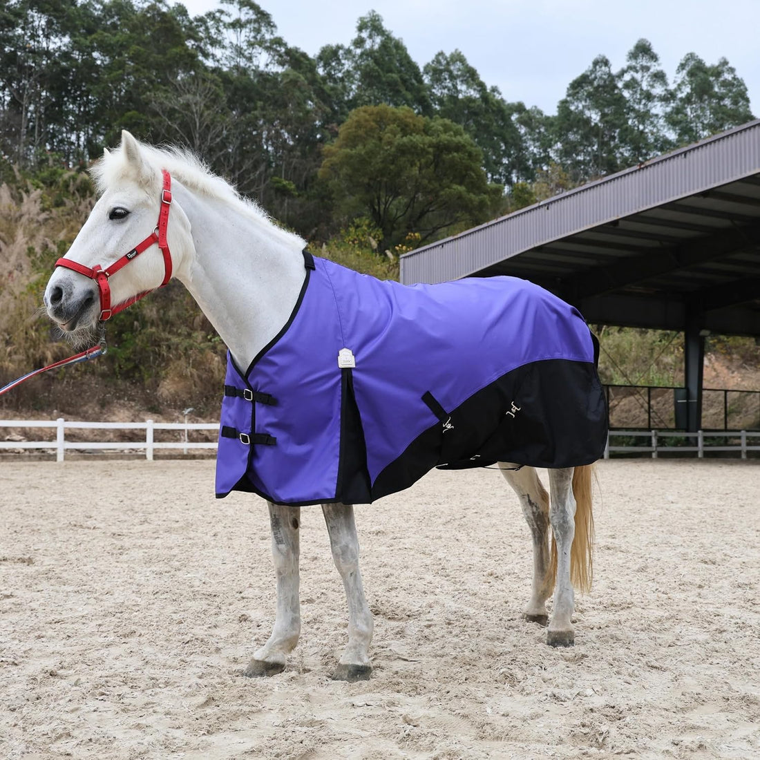 BARN & STABLE 600D Ripstop Lightweight Horse Turnout Sheet No