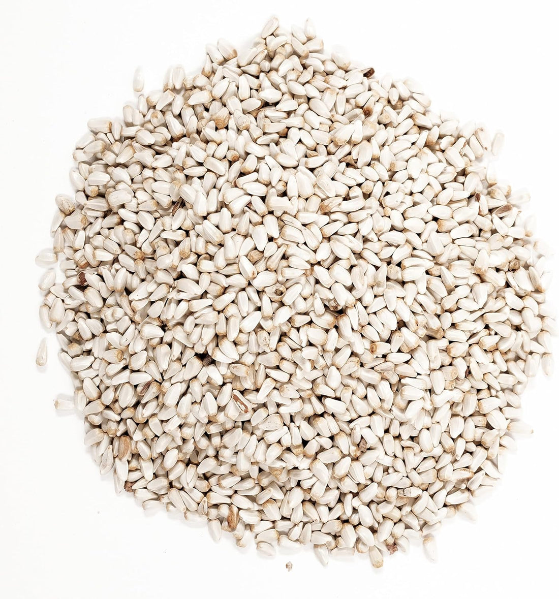 Wagner's 57075 Safflower Seed Wild Bird Food
