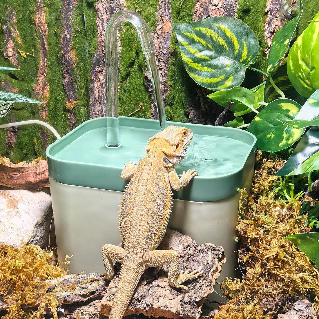 Tfwadmx Reptile Waterfall Water Bowl Fountain Lizard Drinking Dripper