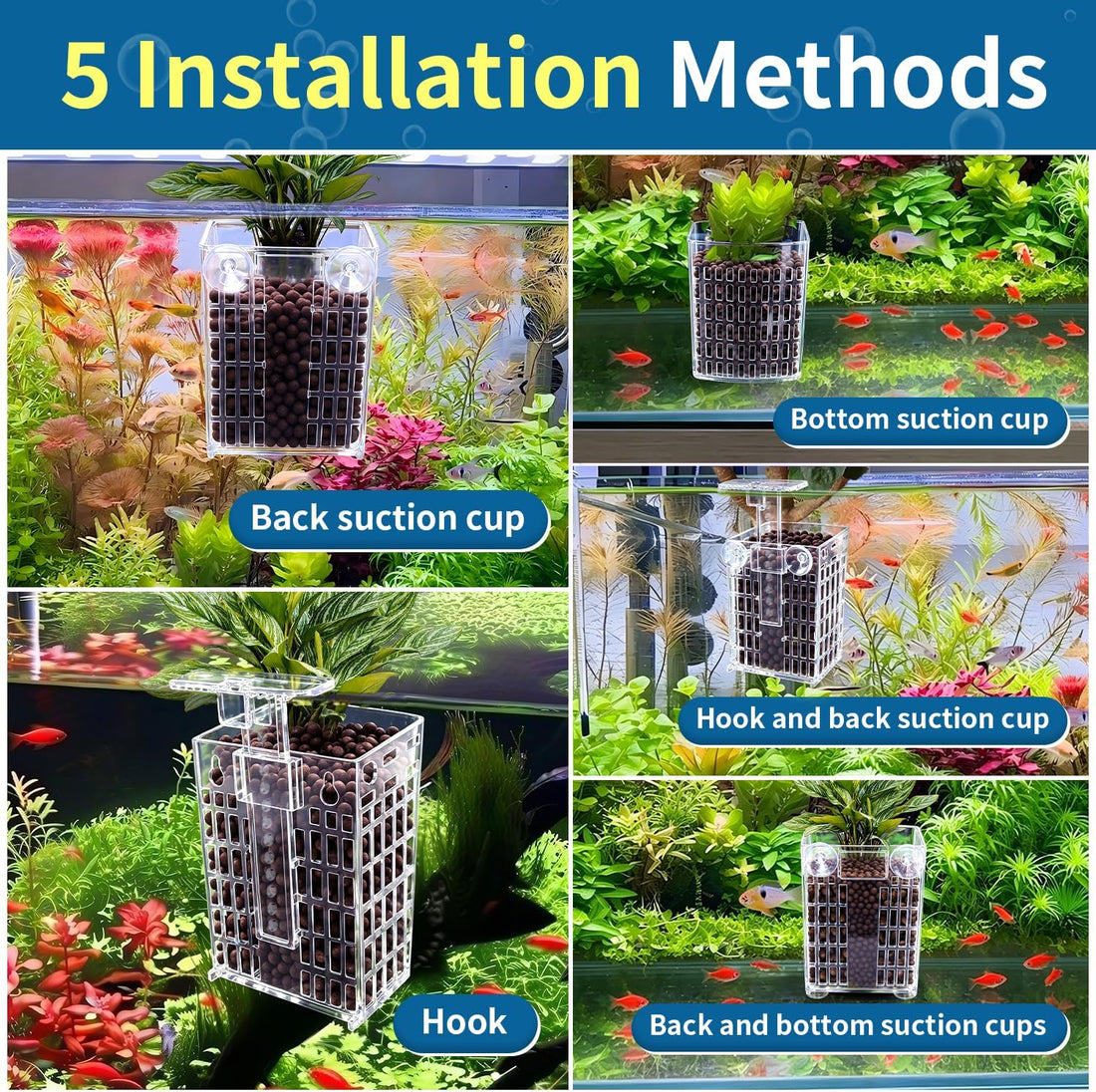 Newly Upgraded Aquarium Plant Holder 4-Pack(Transparent)