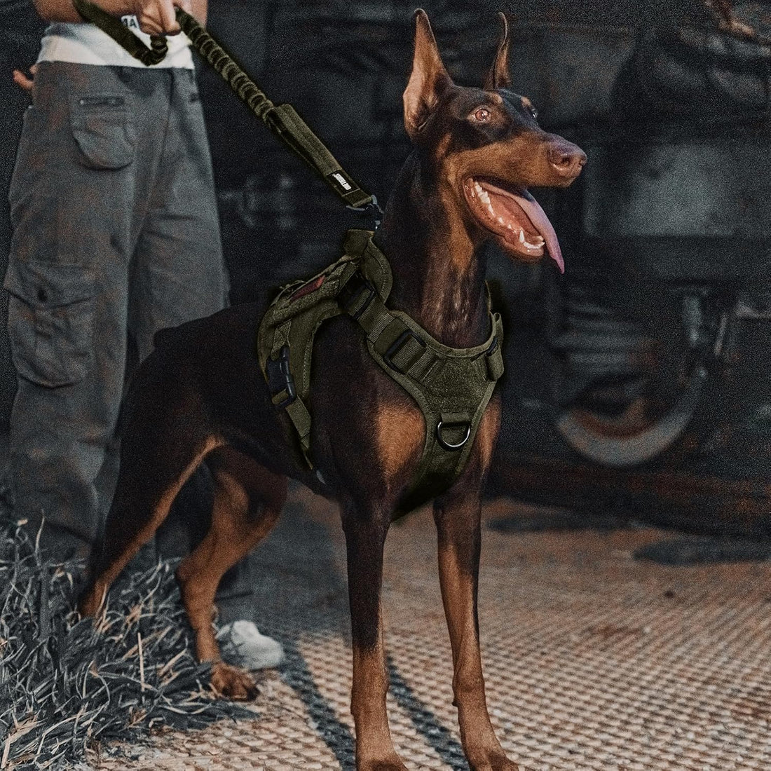 OneTigris Tactical Bungee Leash with 2 Handles Quick Release