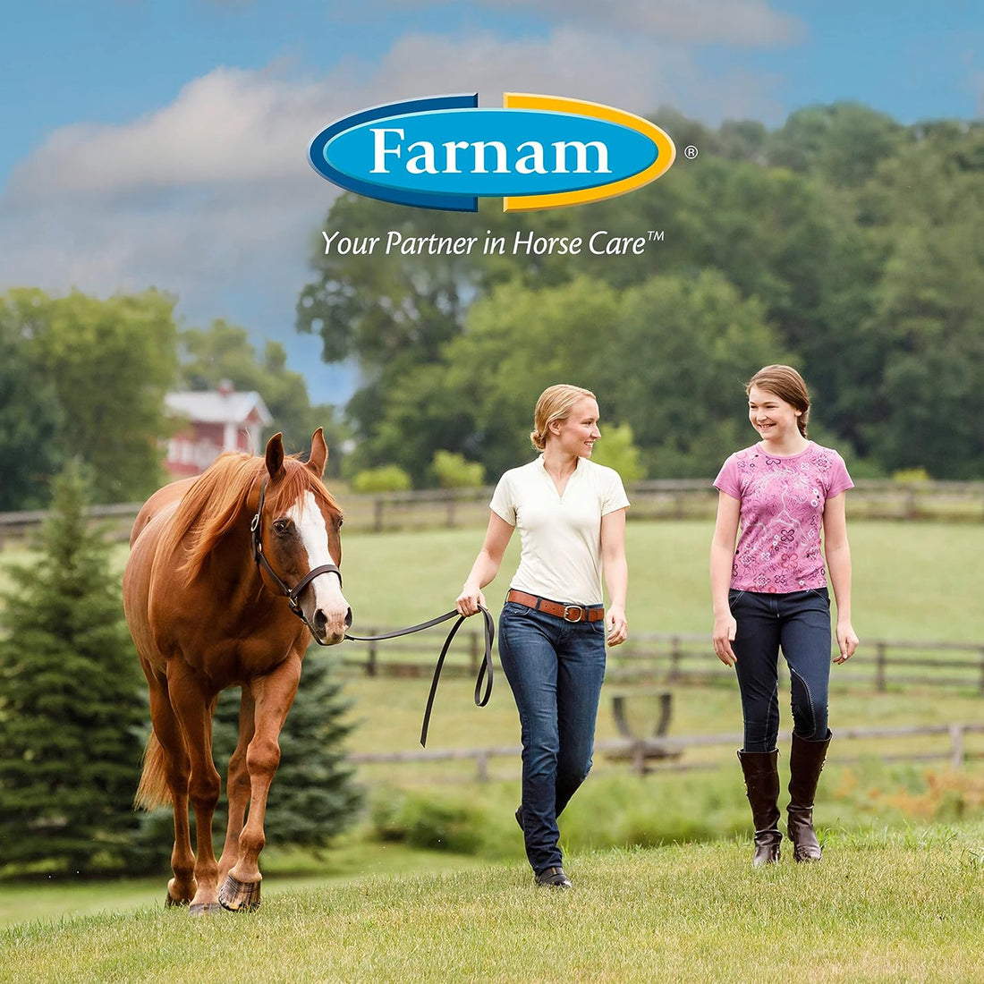 Farnam Horseshoer's Secret Extra Strength, 60 Day Supply