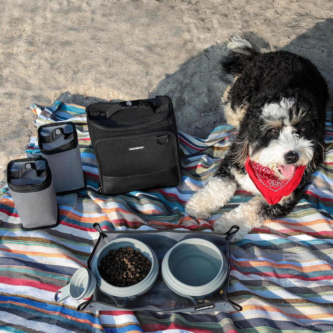 Cleverpup Ultimate Dog Travel Bundle Large 7-piece Bistro Box Dog