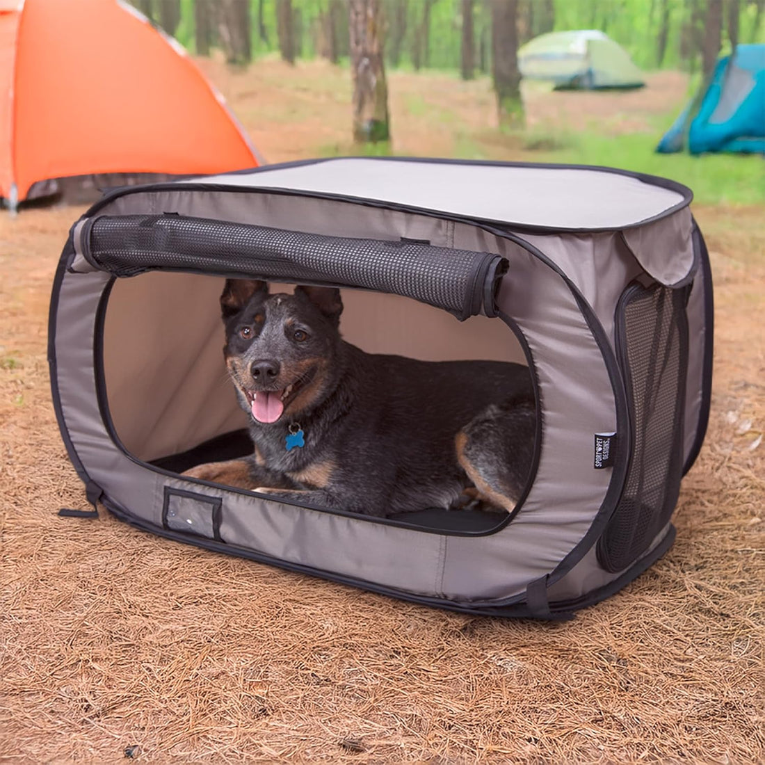 SportPet Designs Large Pop Open Kennel, Portable Cat Cage Kennel