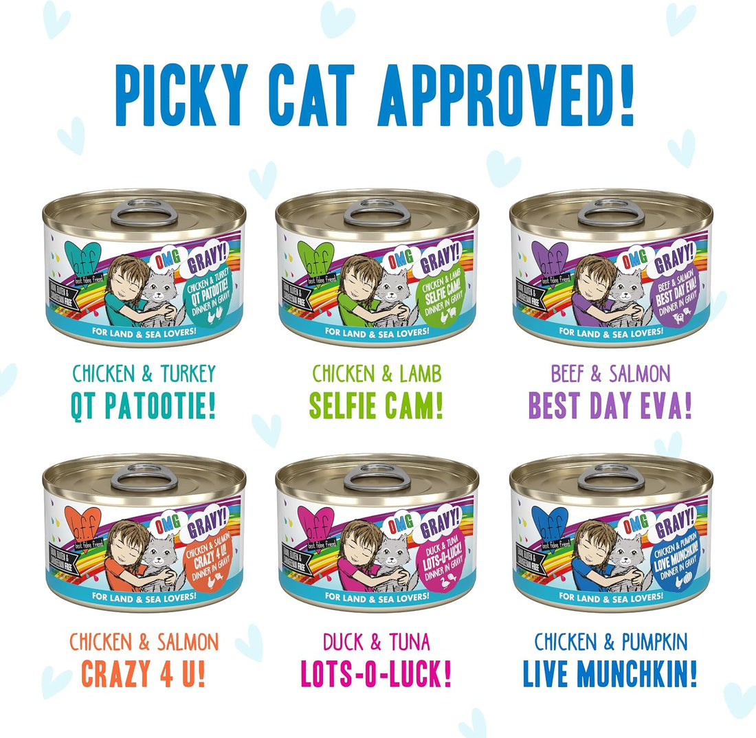 Weruva B.F.F. OMG - Best Feline Friend Oh My Gravy!, Variety Pack