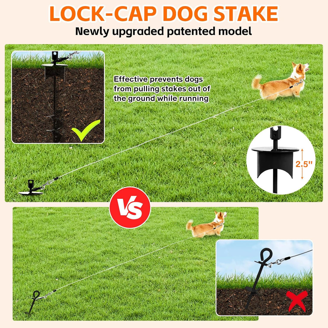 Snagle Paw Dog Tie Out Stake with Lock-Cap