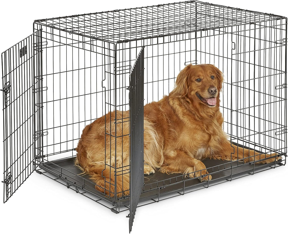 MidWest Homes for Pets Double Door iCrate Starter Kit