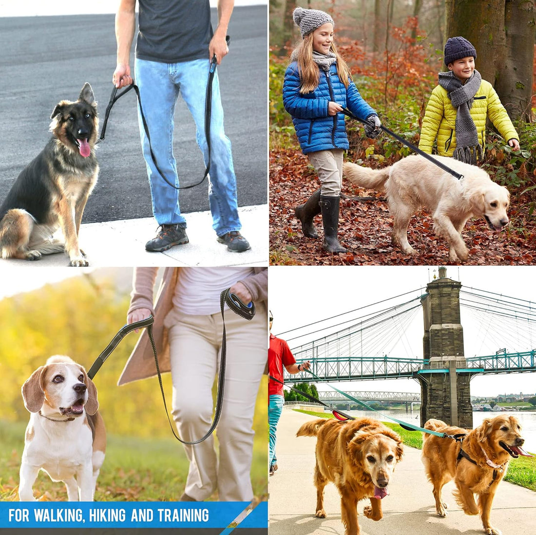 Heavy Duty Dog Leash - 2 Handles by Padded Traffic Handle for Extra
