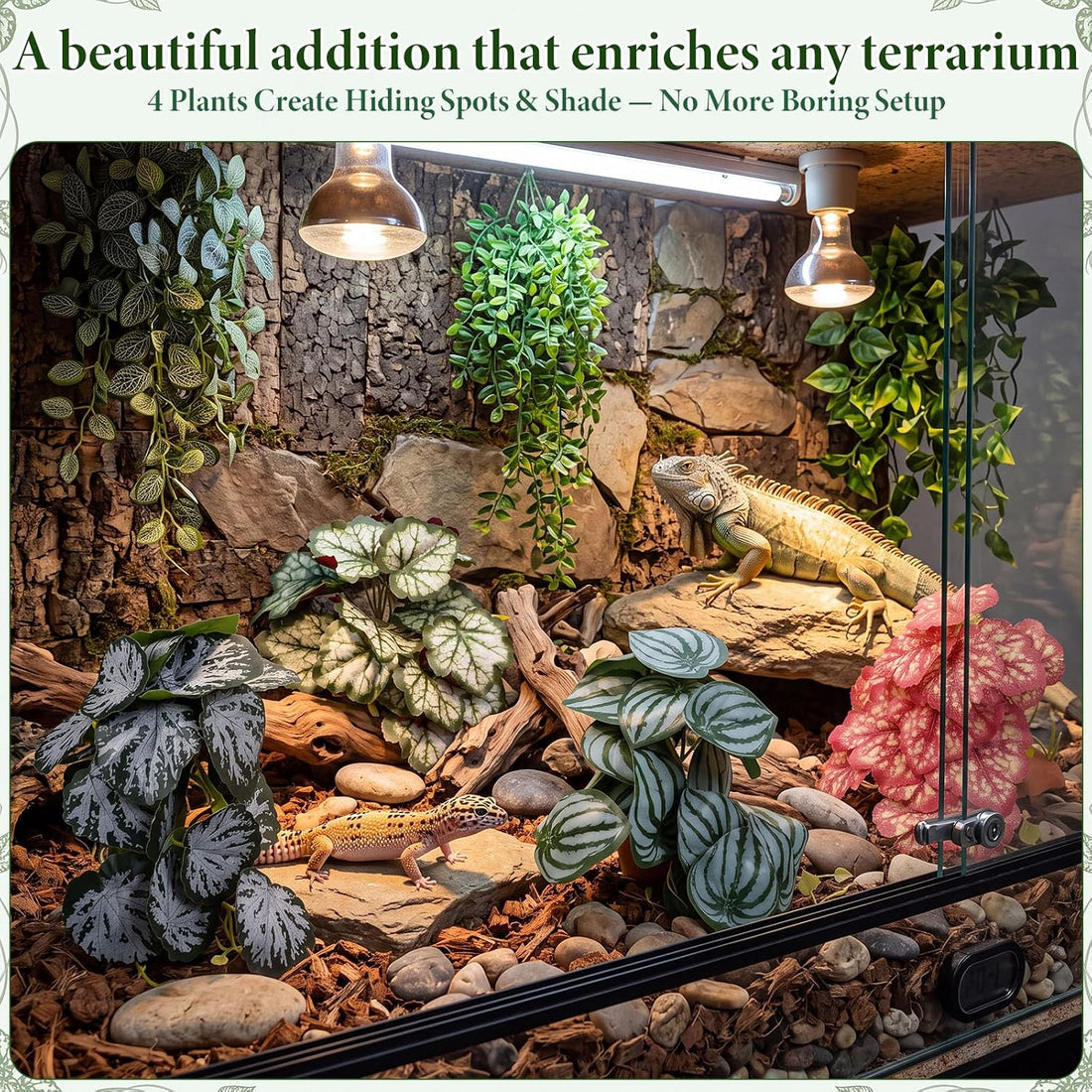 Suncalla 4 Pack Reptile Plants for Terrarium