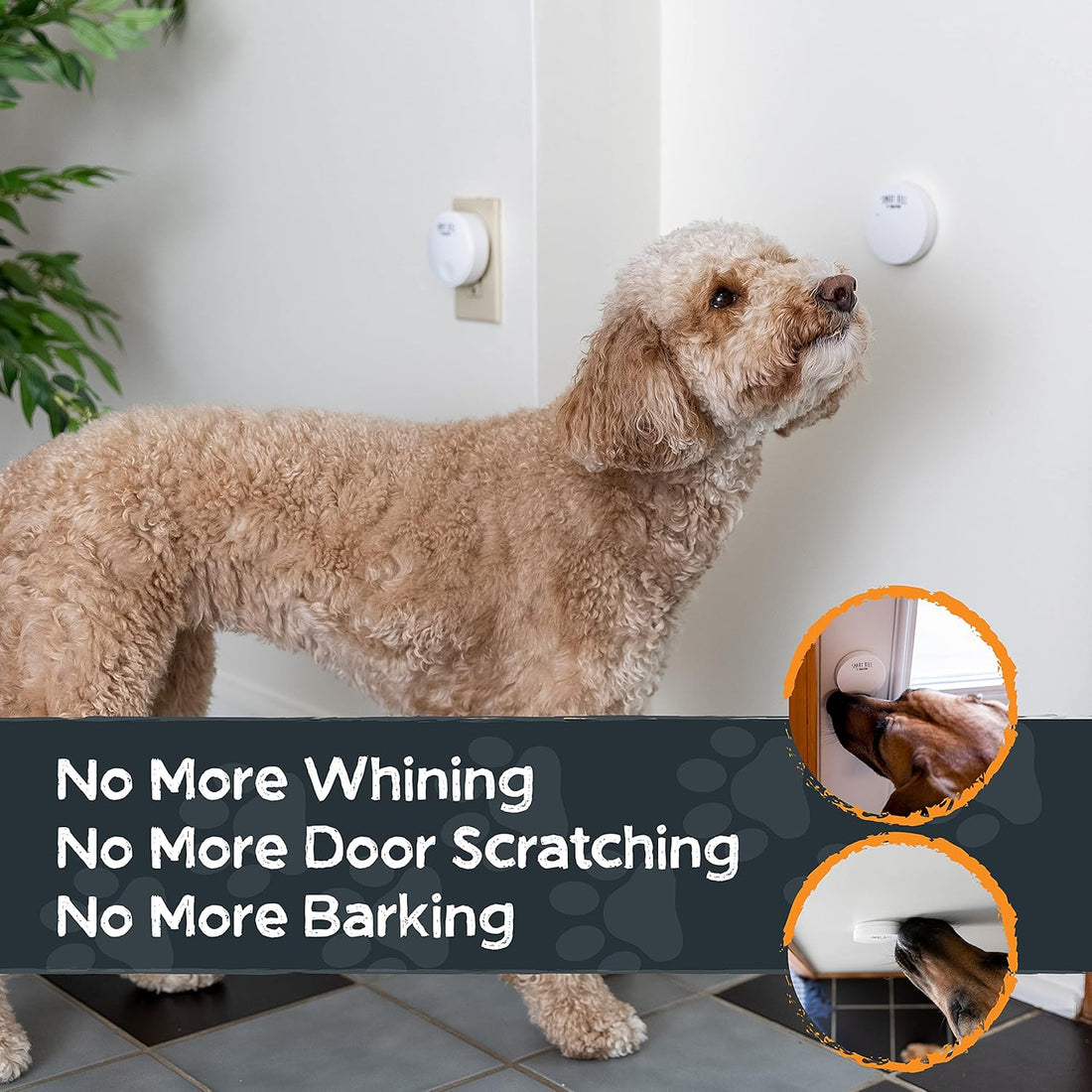Mighty Paw Smart Bell 2.0 Dog Door Bell for Potty Training Dogs