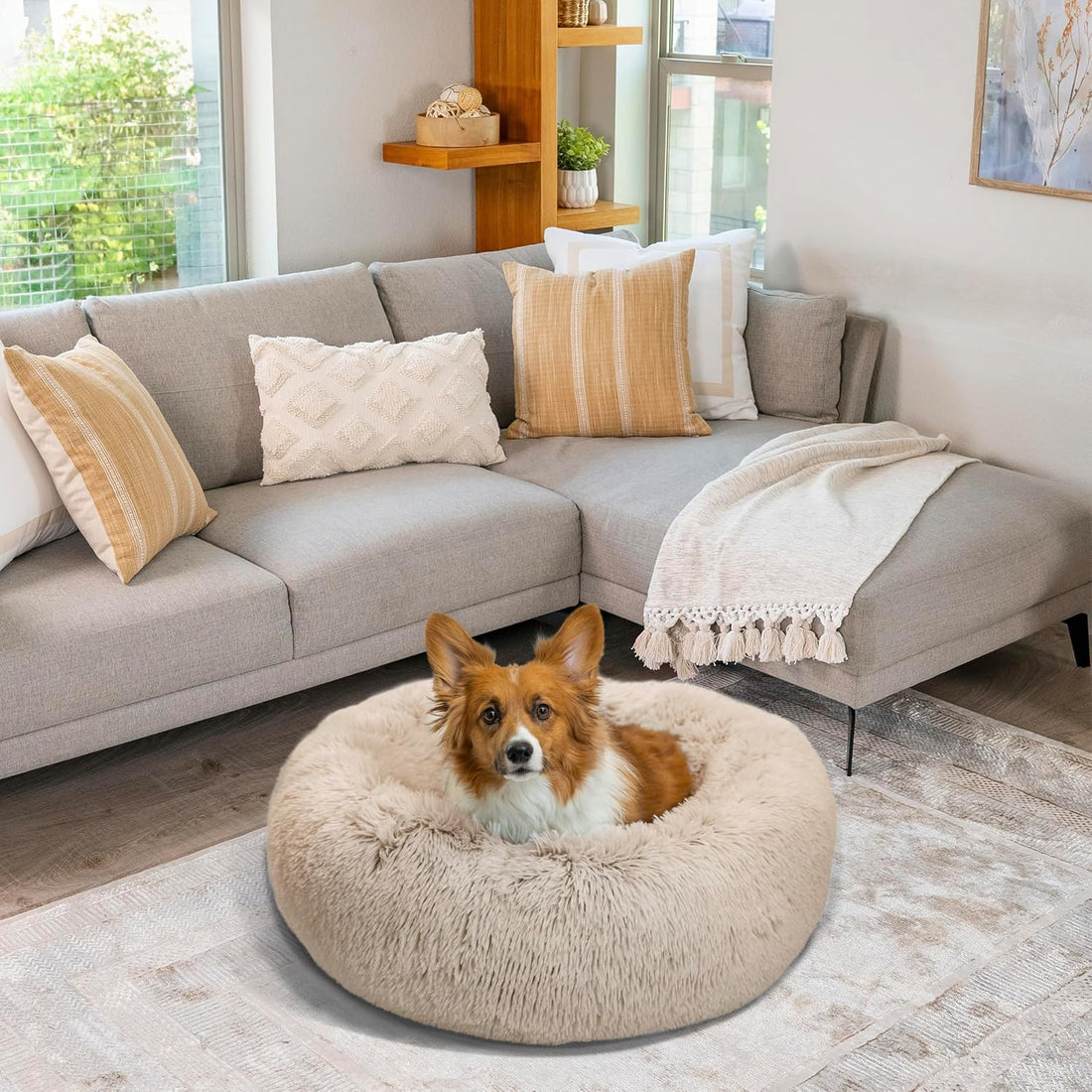 Best Friends by Sheri The Original Calming Donut Dog Bed for Medium