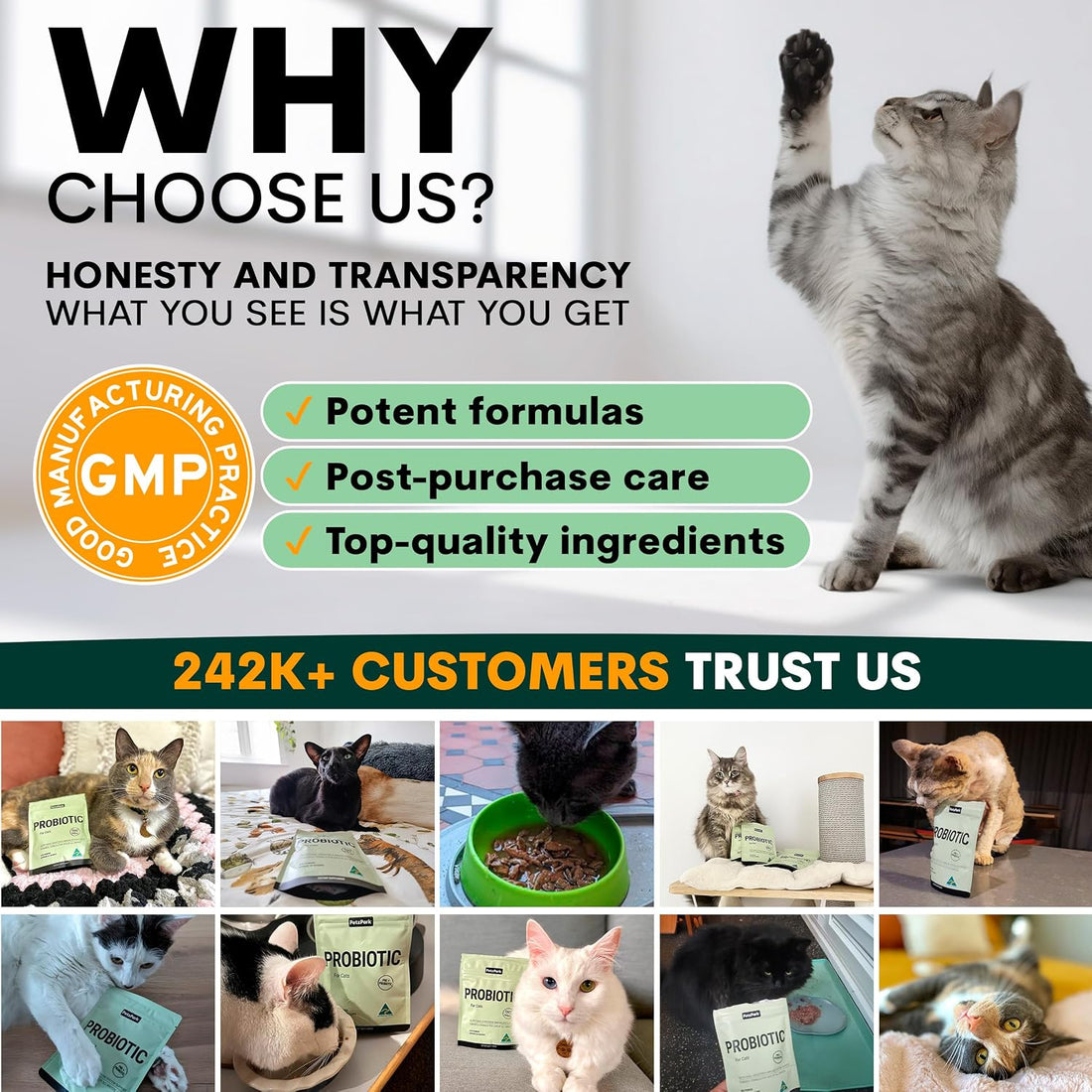 Petz Park Cat Probiotic Powder for Digestive Health