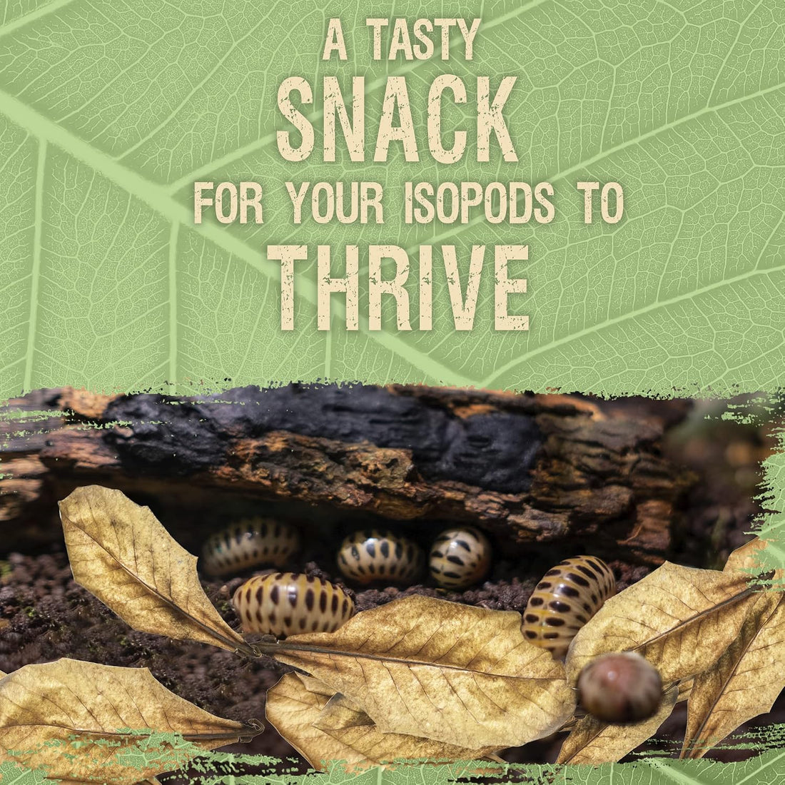 SunGrow 50 Pack Leaf Litter for Spider, Cricket & Isopod