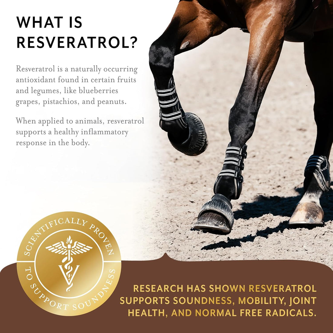 Equithrive Resveratrol Plus Joint Pellets for Horses, 1.65 lbs